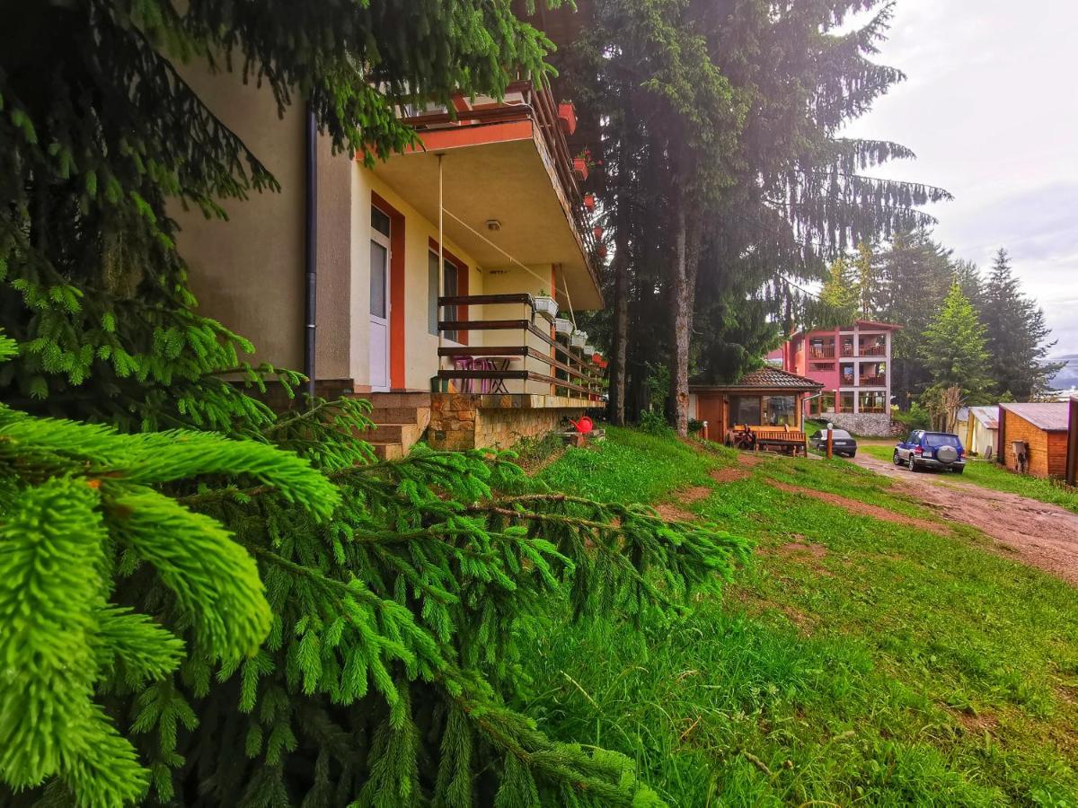 Orlino Holiday Park Sarnitsa Exterior photo
